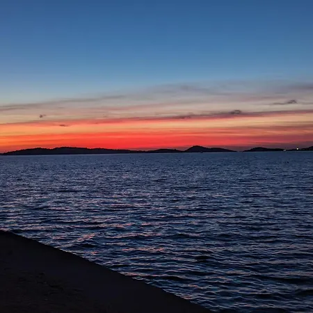 Magnolija 50m From *