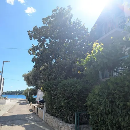Magnolija 50m From Apartment
