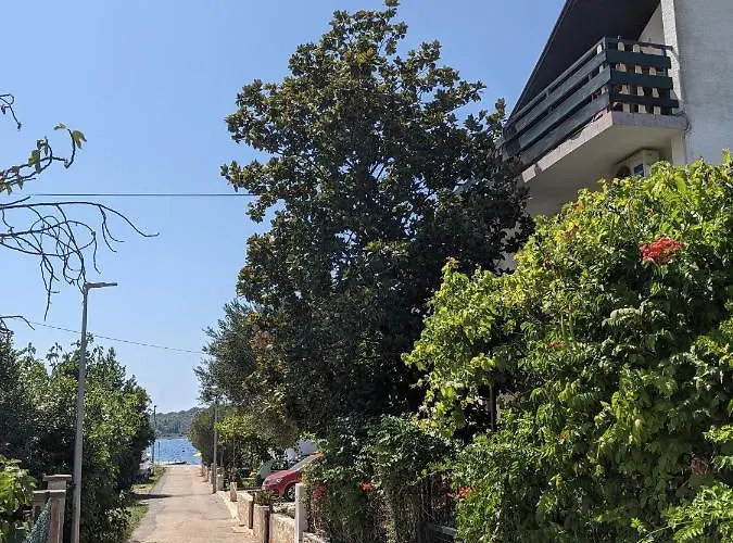 Apartament Magnolija 50m From *