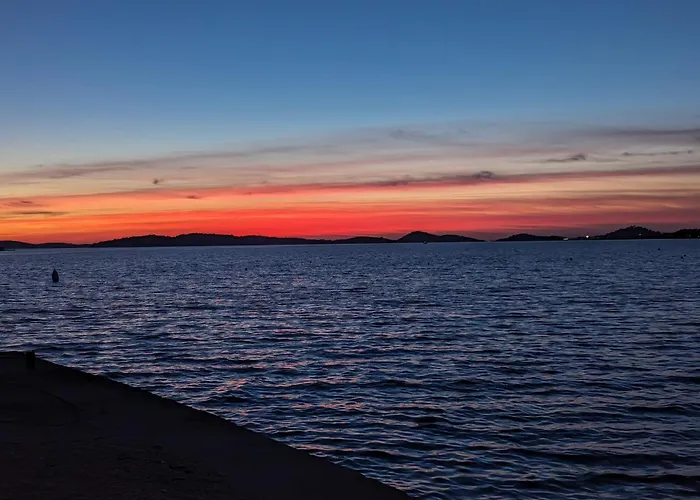 Magnolija 50m From *